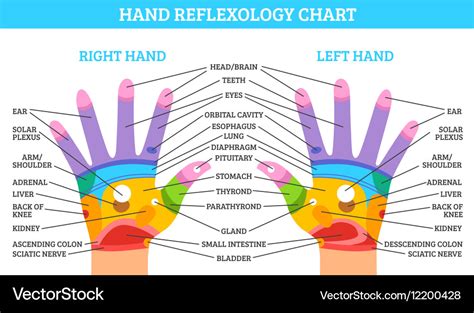 Large Hand Reflexology Chart My XXX Hot Girl