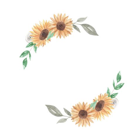 Best Sunflower Garland Illustrations Royalty Free Vector Graphics