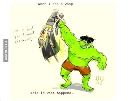 Hulk Smash Wasp 9gag