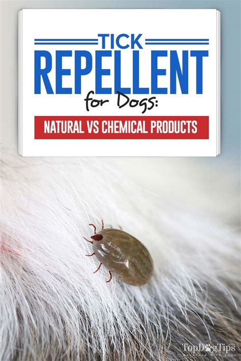 Tick Repellent For Dogs Natural Vs Chemical And What You Must Know