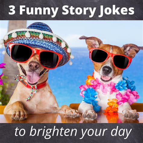 3 Short Funny Story Jokes To Brighten Your Day Roy Sutton