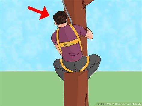 How To Climb A Tree Quickly 11 Steps With Pictures Wikihow