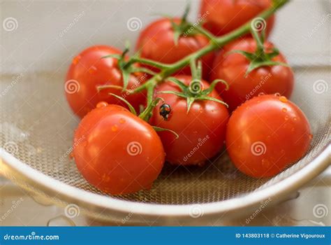 Fresh Vine Tomatoes Washed In A Colander On A Draining Board With A