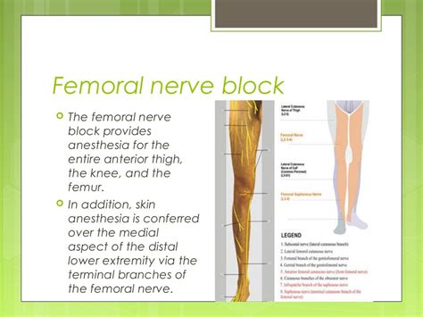 Ultrasound Guided Peripheral Nerve Blocks