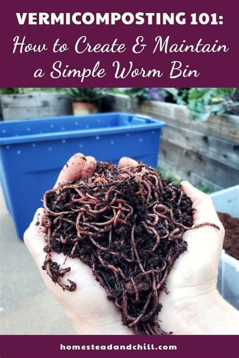 Vermicomposting 101 How To Make And Maintain A Simple Worm Bin Worm