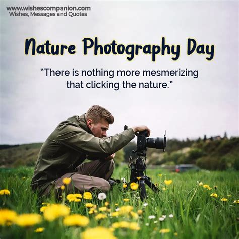 Nature Photography Day Wishes Messages And Quotes