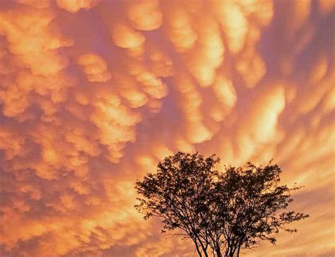 Mammatus Clouds What Are They And How Are They Formed