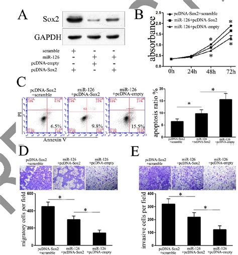 [pdf] mir 126 functions as a tumor suppressor in osteosarcoma by targeting sox2 semantic scholar