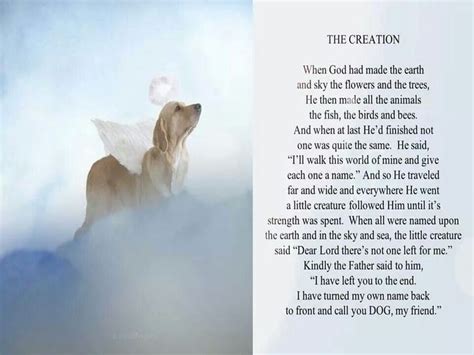 The Creation Dog Poems Dog Signs Dog Cat