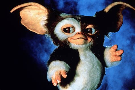 A gadget salesman is looking for a special gift for his son and finds one at a store in chinatown. 'Gremlins' Remake Could Happen With Steven Spielberg ...