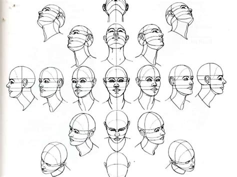 Image Result For Face Looking Up Reference Drawing The Human Head