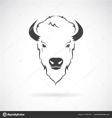 Vector Of A Buffalo Head Design On White Background — Stock Vector