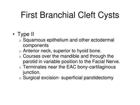 Ppt Branchial Cleft Cysts Powerpoint Presentation Id259307