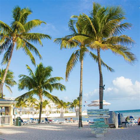 South Beach Key West Atualizado 2022 O Que Saber Antes De Ir Sobre O Que As Pessoas Estão
