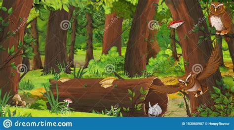 Cartoon Summer Scene With Deep Forest And Bird Owl And Rabbit Nobody