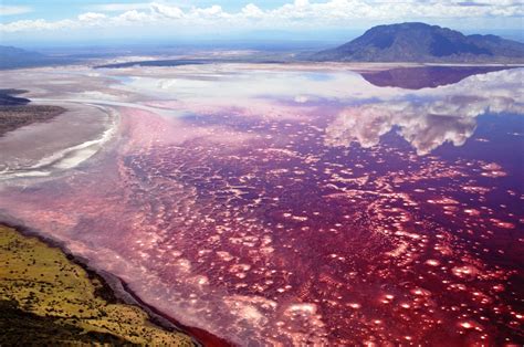 Lake Natron Soda And Salt Lake In Tanzania Charismatic Planet