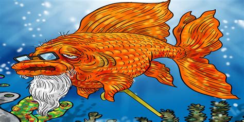 Goldfish Life Span How Long Do Goldfish Live Oldest