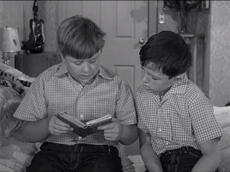Leave It To Beaver Larry Hides Out Tv Episode 1960 Imdb