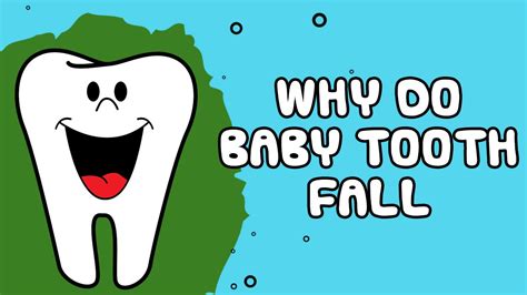 Interesting Fact About Baby Why Do Baby Tooth Fall Youtube
