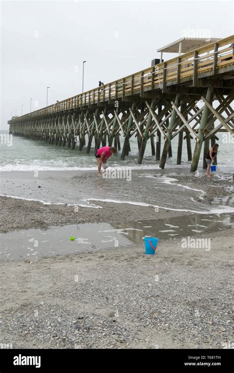 Two Women Hunt Seashells At 2nd Ave Pier Myrtle Beach South Carolina