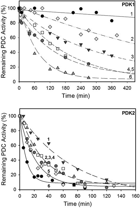 Time Dependence Of Pdc Inactivation By Pdk1 And Pdk2 Top Pdk1 30