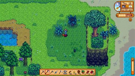 How To Remove Some Bushes On Your Beach Farm Stardew Valley 15 Youtube