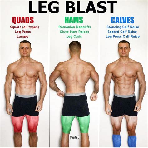 Build Massive Strong Legs And Glutes With This Amazing Workout And Tips