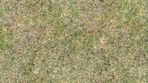 Artstation Pack Of 30 Grass Seamless Textures In 4k Resources