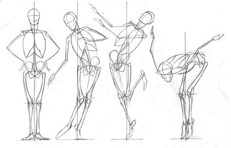 Unidad Masilla Aficionado Pasos Para Dibujar Anatomia Continuaci N