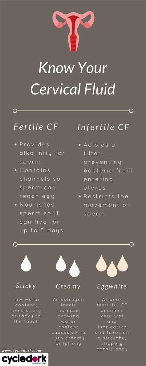 Cervical Fluid Chart Cervical Mucus Cervical Mucus Ch