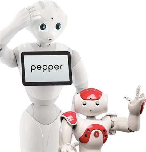 Paris City Hall Gives Jobs To Pepper And Nao Robots