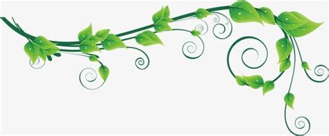 Green Vine PNG Transparent Green Vines Vine Clipart Green Leaf PNG Image For Free Download