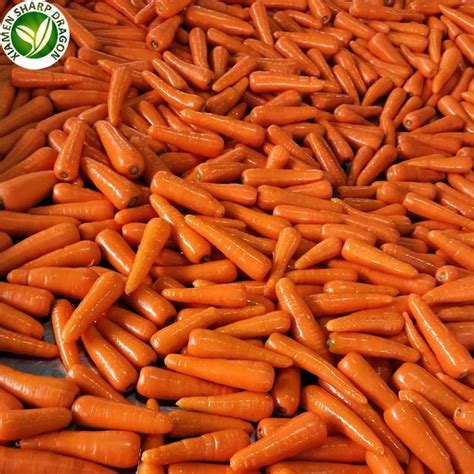 One of the biggest exporters from iran. Fresh Carrot Exporters Suppliers and Manufacturers ...