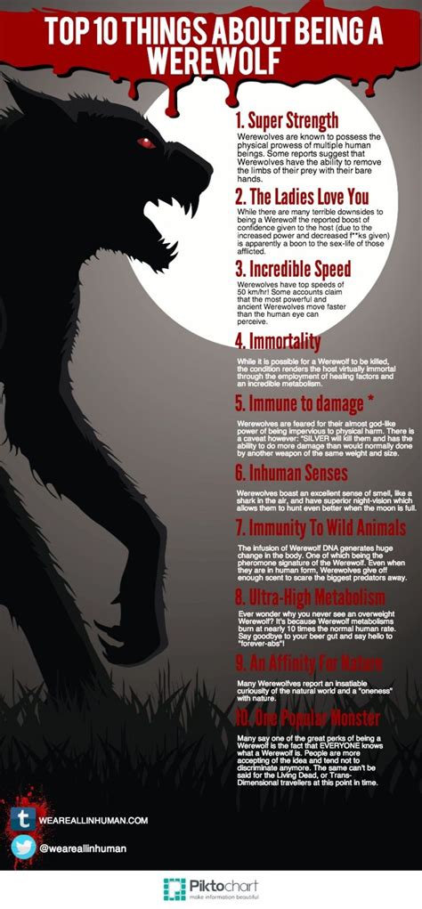 17 Best Images About ~werewolf~ On Pinterest Wolves A Wolf And