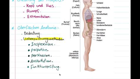01 Einleitung Anatomie Deutsch Youtube