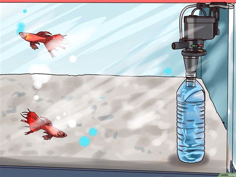 Tuliskan jumlah atom dari rumus molekul berikut cl2. Cara Membuat Aerator Dari Dinamo : 3 Cara Untuk Membuat ...