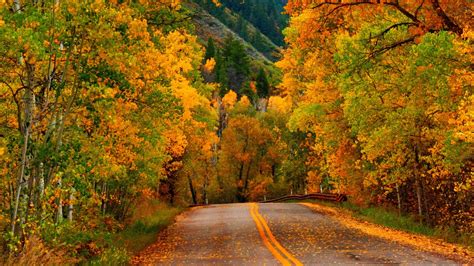 Nature Autumn Forest Park Road Wallpapers 1600x900 971675