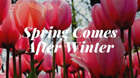 Spring Comes After Winter Youtube
