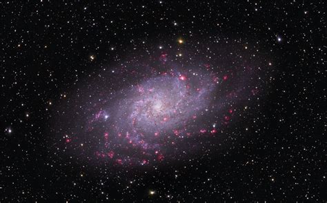 Apod 2006 September 14 M33 Spiral Galaxy In Triangulum