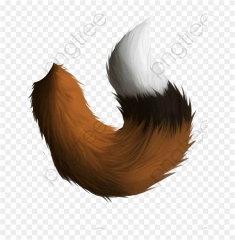 Tail Png 10 Free Cliparts Download Images On Clipground 2024