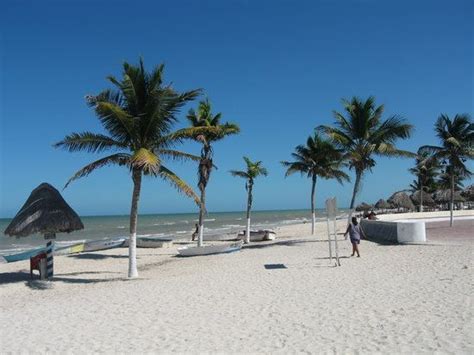 Progreso Yucatán Alchetron The Free Social Encyclopedia