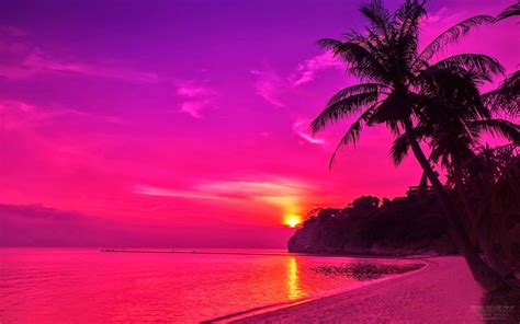 Pink Beach Sunset Wallpaper Beach Sunset Wallpaper Sunset Wallpaper