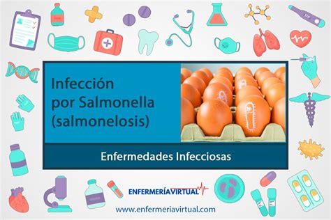 Infección Por Salmonella Salmonelosis Enfermería Virtual