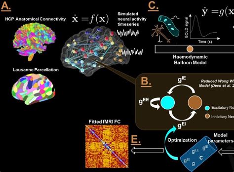 Deep Learning Based Parameter Estimation For Neurophysiological Models Of Neuroimaging Data