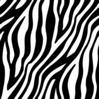 Share Zebra Print Hd Wallpaper Super Hot Tdesign Edu Vn