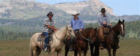 Yellowstone Horses Answers To Frequently Asked Questions About Our