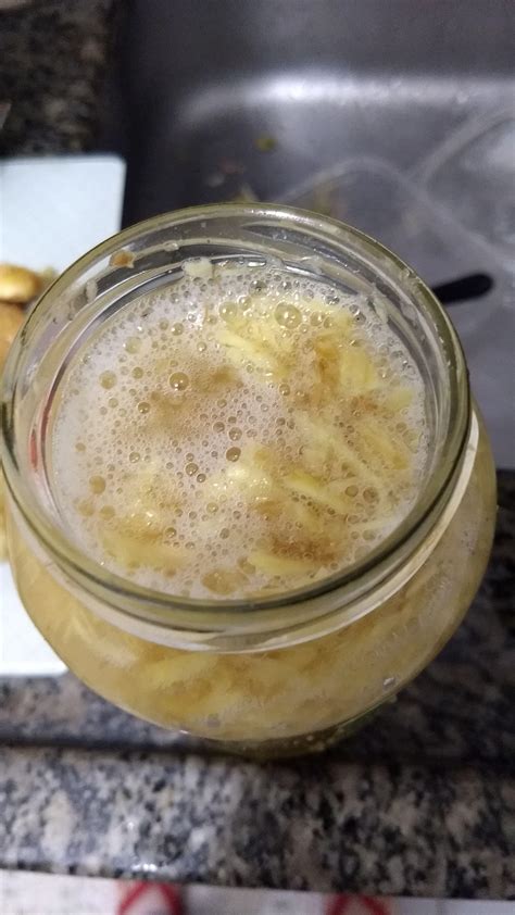 First Ginger Bug Is Nicely Active Rfermentation