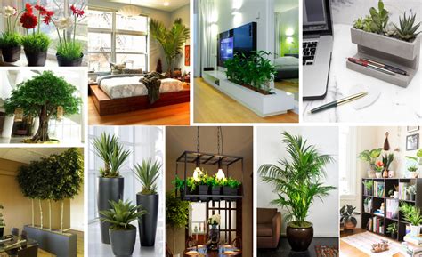 25 Beautiful Artificial Indoor Plants Ideas That Will