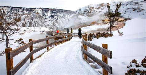 Yellowstones Winter Magic Off The Beaten Path