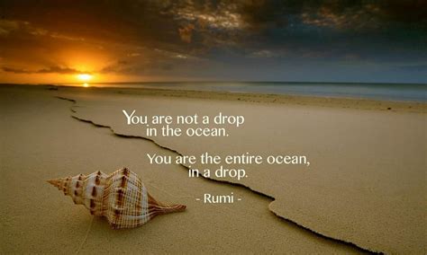 You Are Not A Drop In The Ocean You Are The Entire Ocean In A Drop